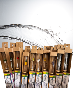 Mushroom Menagerie Mechanical Pencils – Idlewild Co.